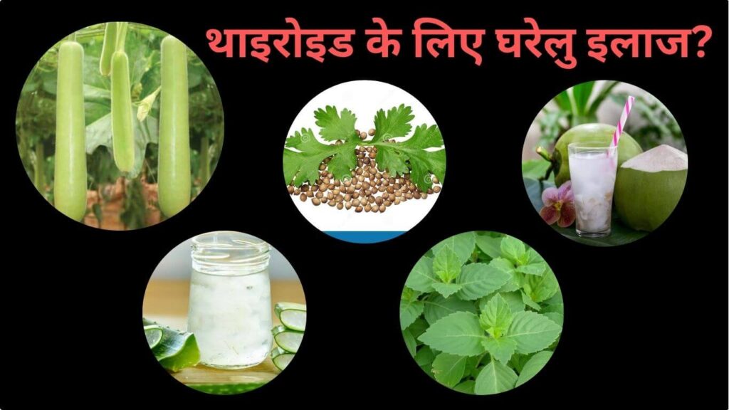 थाइरोइड क्यों होता है? थाइरोइड के लिए घरेलु इलाज?